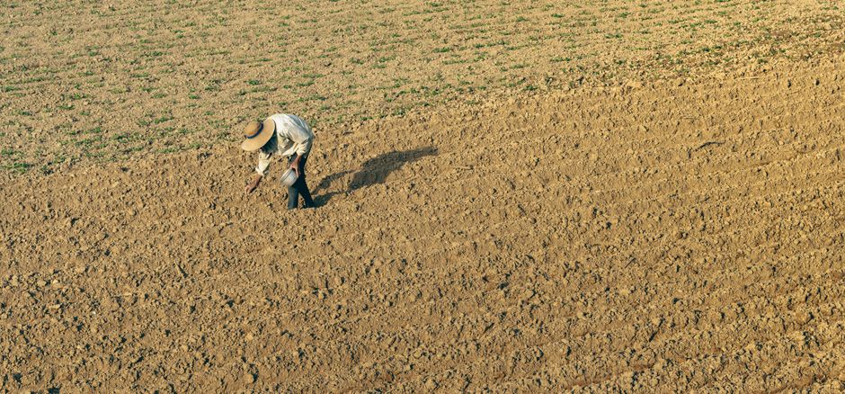 Jornalero agrícola por temporada
